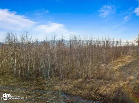 140 E Fairview Loop, Wasilla, AK 99654 photo 15