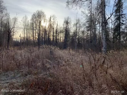 23437 W Willow Fishhook Rd, Willow, AK 99688