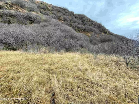 41083 Pasagshak Rd, Kodiak, AK 99615