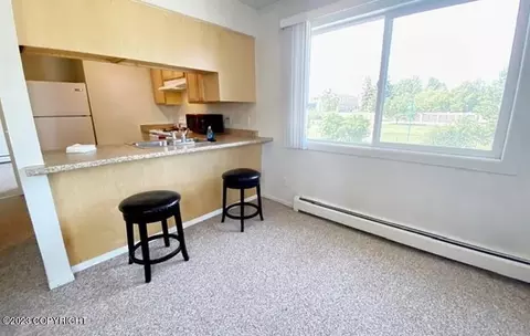 318 E 9th Ave, Anchorage, AK 99501 photo 12