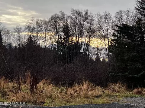 4668 S Slope Rd, Homer, AK 99603