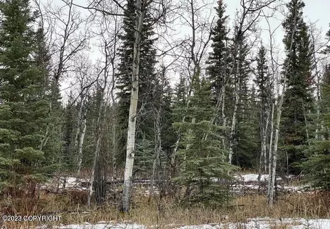 L11 Tazlina Loop, Glennallen, AK 99588