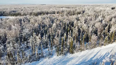 52119 Caswell Loop Rd, Willow, AK 99688 photo 3