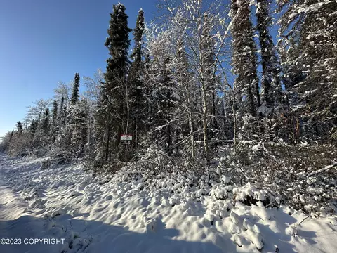 52119 Caswell Loop Rd, Willow, AK 99688