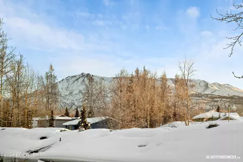 11102 Aurora St, Eagle River, AK 99577 photo 32