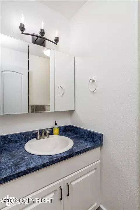 10081 E Ortner Loop, Palmer, AK 99645 photo 29