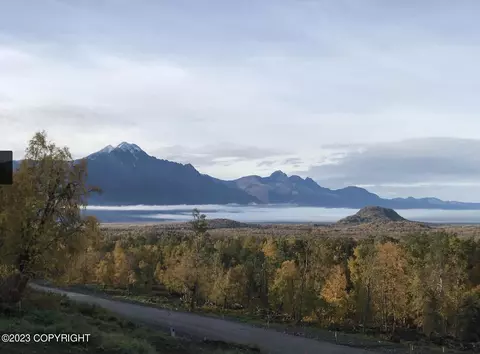877 N Yeti St, Palmer, AK 99645
