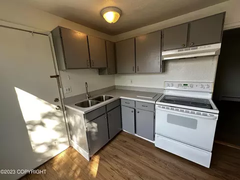 1027 E 11th Ave, Anchorage, AK 99501 photo 5