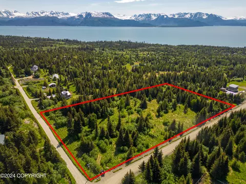 38586 Sarah St, Homer, AK 99603