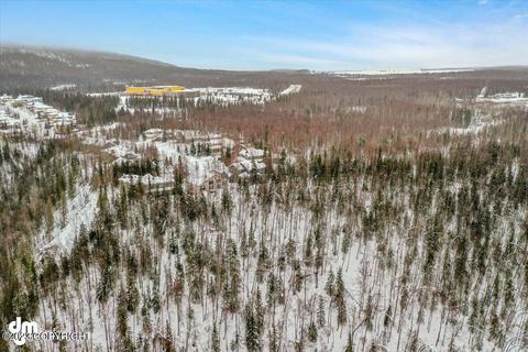16610 Yellowstone Cir, Eagle River, AK 99577 photo 51