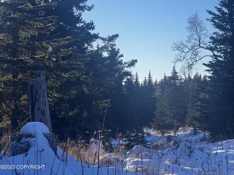 67407 Kiana Dr, Ninilchik, AK 99639