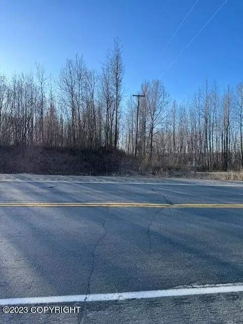 34983 Susitna River Rd, Talkeetna, AK 99676