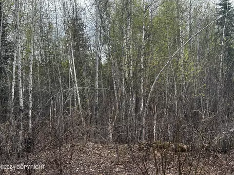 12815 Barrington Loop, Willow, AK 99688 photo 3