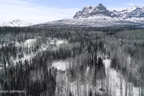 18235 E Chickaloon Rd, Chickaloon, AK 99674