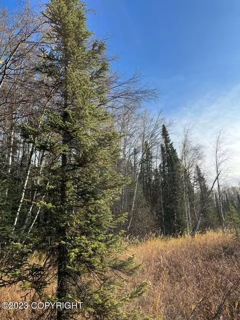 26231 W Crystal Lake Rd, Willow, AK 99688
