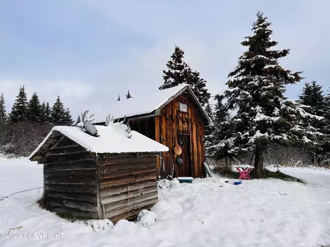 54196 East End Rd, Homer, AK 99603 photo 26