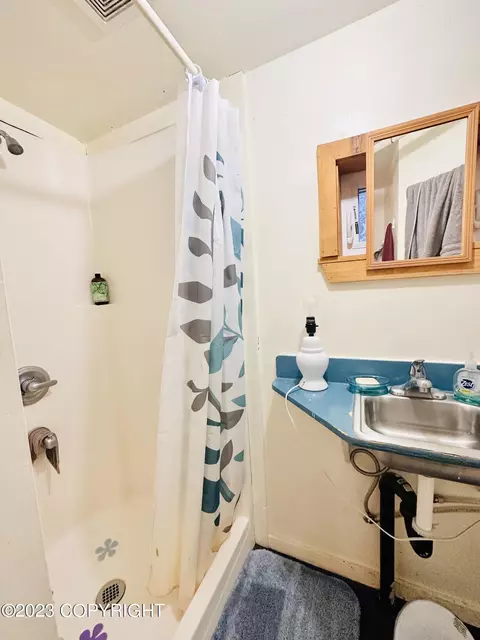 54196 East End Rd, Homer, AK 99603 photo 38