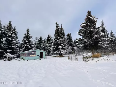 54196 East End Rd, Homer, AK 99603 photo 28