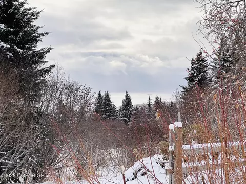 54196 East End Rd, Homer, AK 99603 photo 3