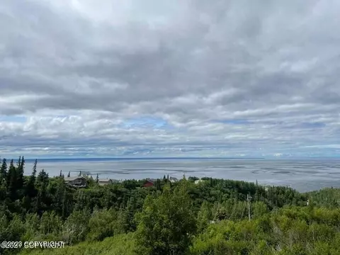 6130 Romania Dr, Anchorage, AK 99516 photo 1