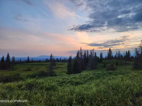 34740 S Oilwell Rd, Trapper Creek, AK 99683