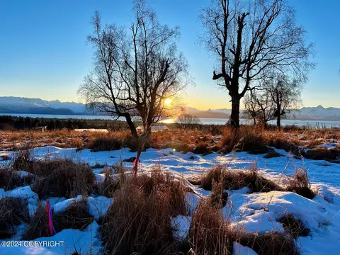 L3 Woape Street, Homer, AK 99603