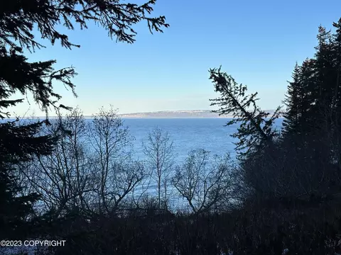 L25 B7 Fritz Road, Seldovia, AK 99663