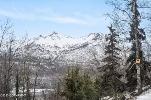 23061 Glacier View Dr, Eagle River, AK 99577 photo 13