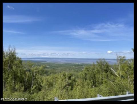 0000 Thornton St, Chugiak, AK 99567