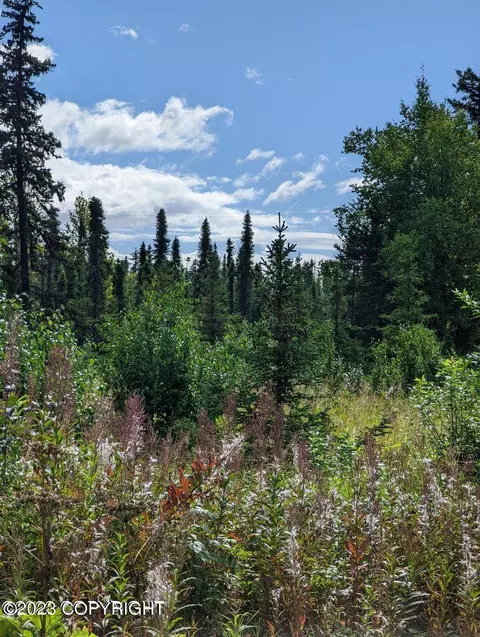 32680 Regal St, Anchor Point, AK 99556