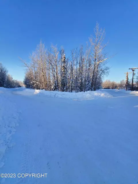 L7 B11 E Chickaloon Road, Wasilla, AK 99654