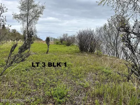 L3 B1 My Drive, Ninilchik, AK 99639