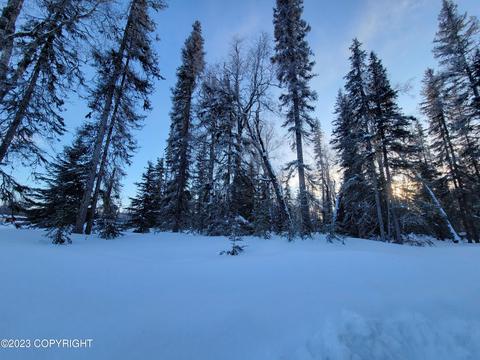 52495 Blueberry Ave, Nikiskinorth Kenai, AK 99635