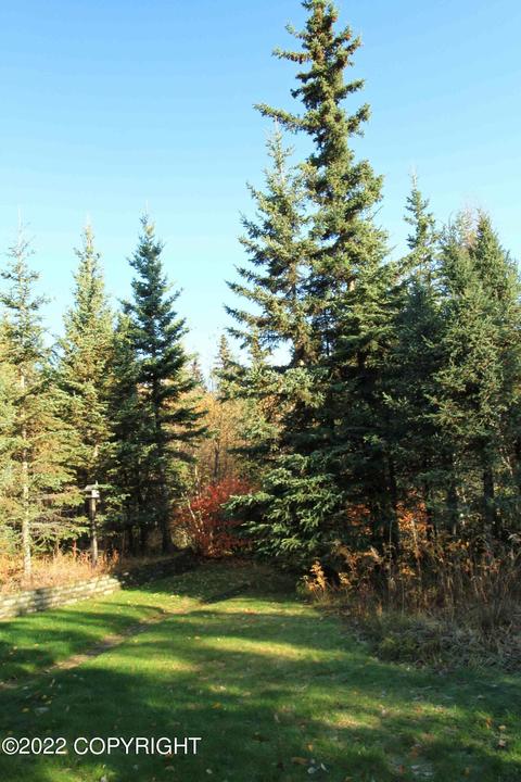 19049 Mountain Point Cir, Eagle River, AK 99577 photo 5