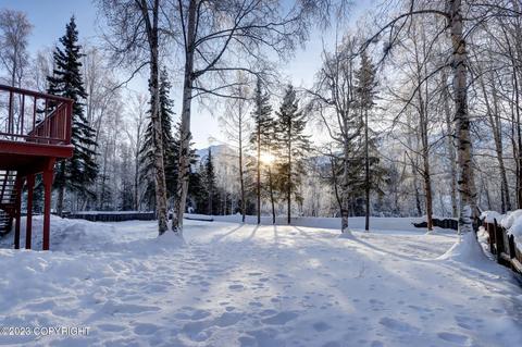 22808 Eagle Glacier Loop, Eagle River, AK 99577 photo 56