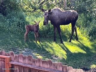 22808 Eagle Glacier Loop, Eagle River, AK 99577 photo 76