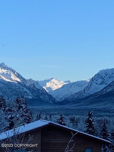 22808 Eagle Glacier Loop, Eagle River, AK 99577 photo 71