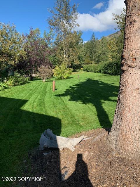 22808 Eagle Glacier Loop, Eagle River, AK 99577 photo 74