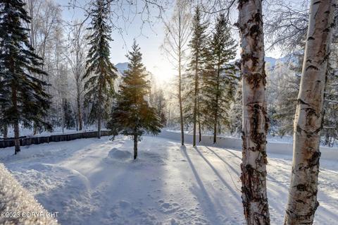 22808 Eagle Glacier Loop, Eagle River, AK 99577 photo 64