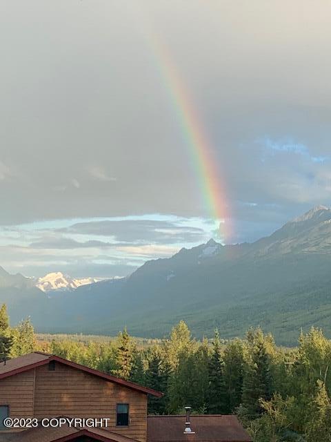 22808 Eagle Glacier Loop, Eagle River, AK 99577 photo 72