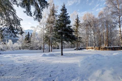 22808 Eagle Glacier Loop, Eagle River, AK 99577 photo 60