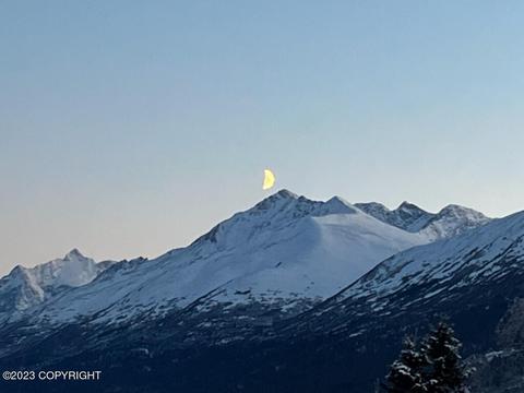 22808 Eagle Glacier Loop, Eagle River, AK 99577 photo 80