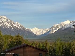22808 Eagle Glacier Loop, Eagle River, AK 99577 photo 68