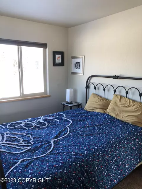 72485 Ester Ave, Anchor Point, AK 99556 photo 22