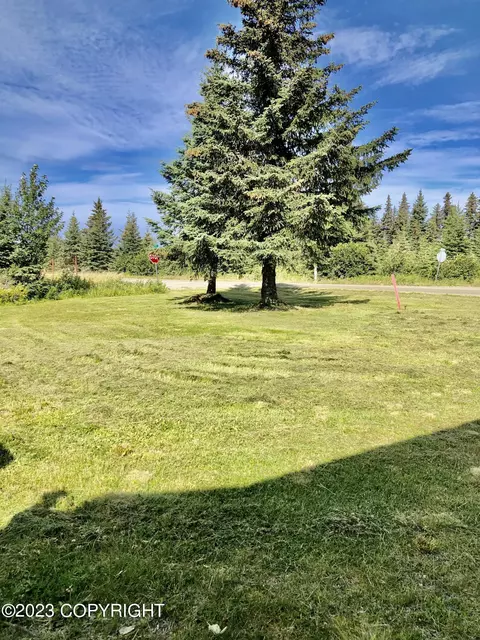 72485 Ester Ave, Anchor Point, AK 99556 photo 2