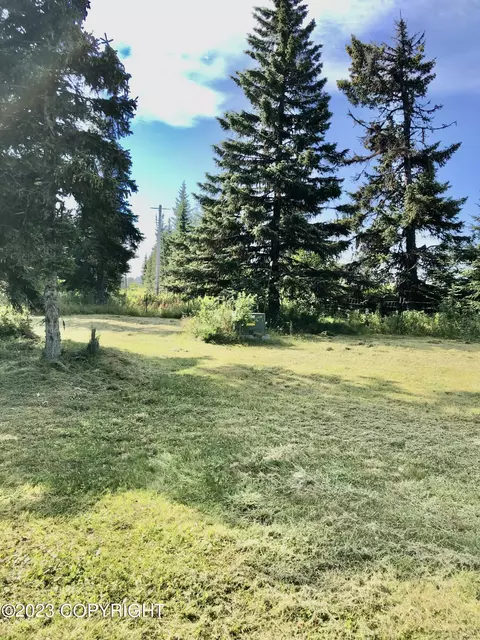 72485 Ester Ave, Anchor Point, AK 99556 photo 3