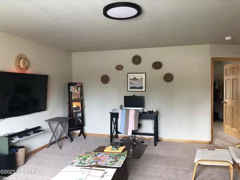 72485 Ester Ave, Anchor Point, AK 99556 photo 9