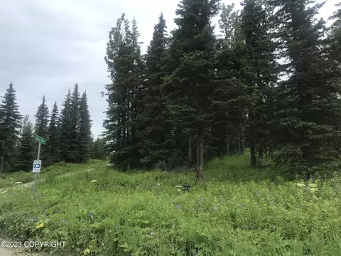 L5 B3 Alice Avenue, Ninilchik, AK 99639