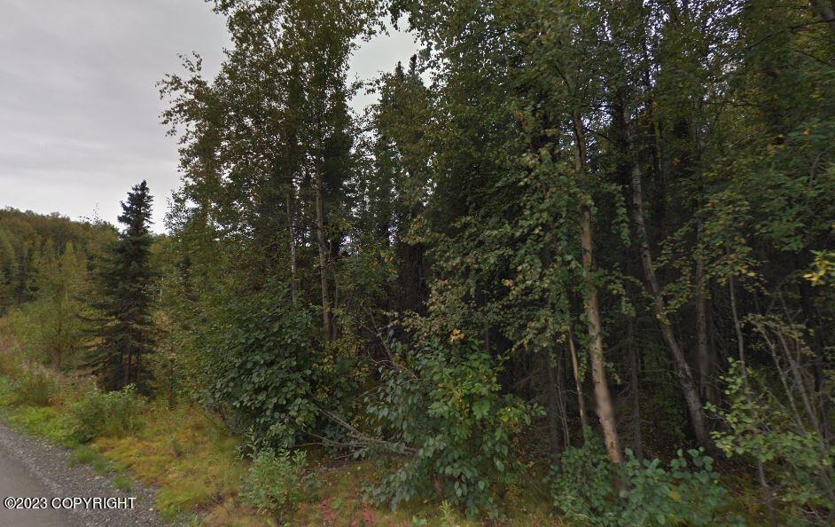  7275 W Indigo Dr, Wasilla, AK 99623 photo 2