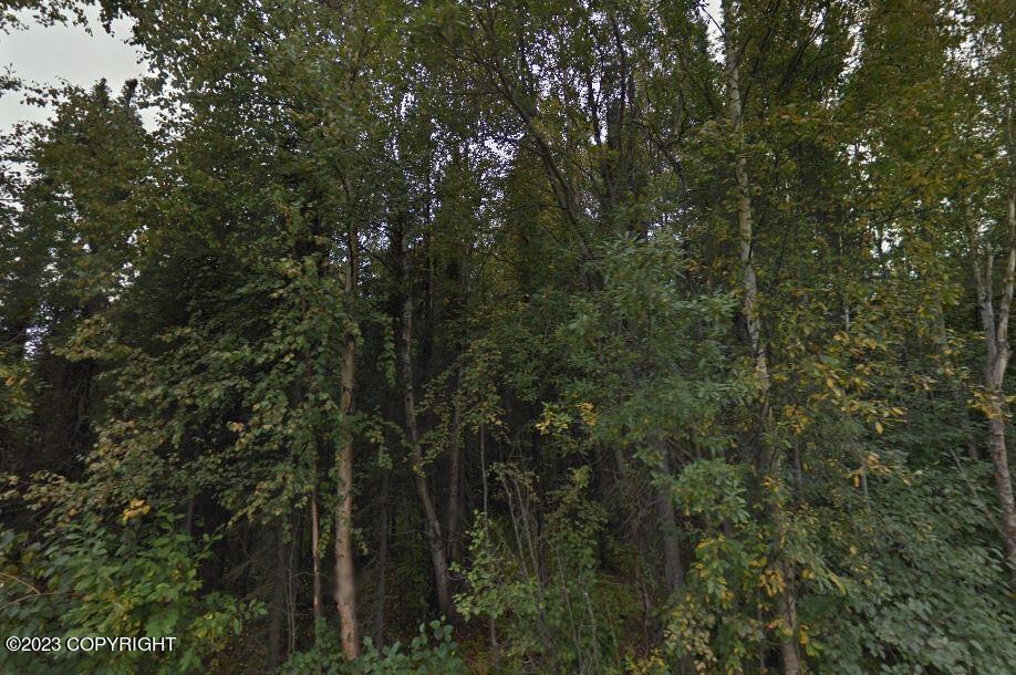  7275 W Indigo Dr, Wasilla, AK 99623 photo 3